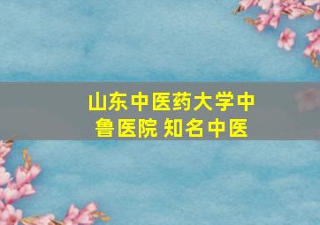 山东中医药大学中鲁医院 知名中医